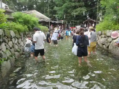 賀茂御祖神社（下鴨神社）の景色