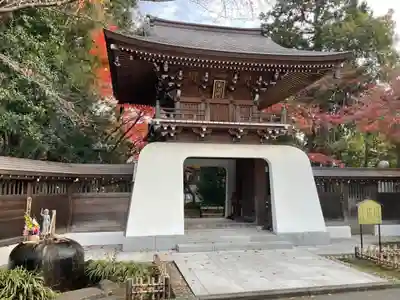 大正寺の山門・神門