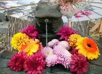 札幌諏訪神社の手水舎