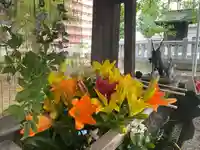 彌彦神社 (伊夜日子神社)の手水舎