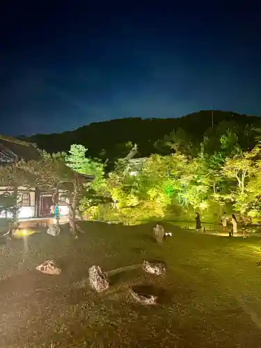 高台寺（高台寿聖禅寺・高臺寺）(京都府)