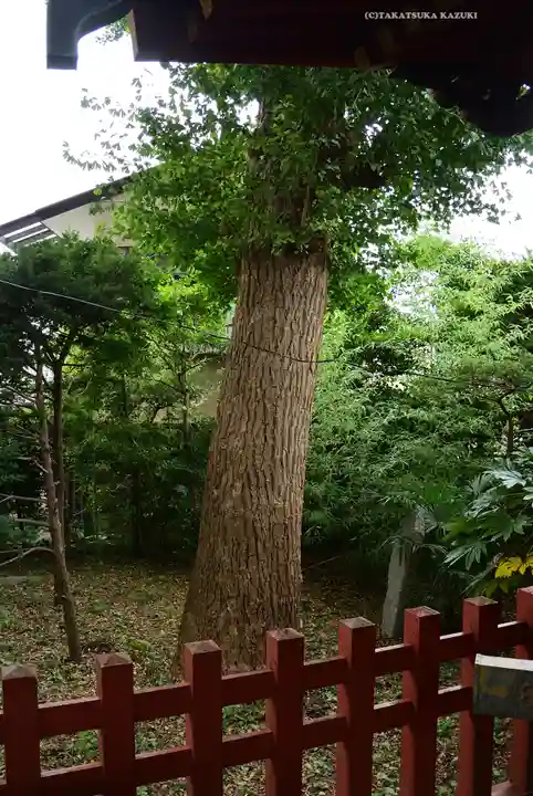 由比若宮(元鶴岡八幡宮)(神奈川県)