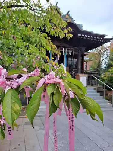 桜神宮(東京都)
