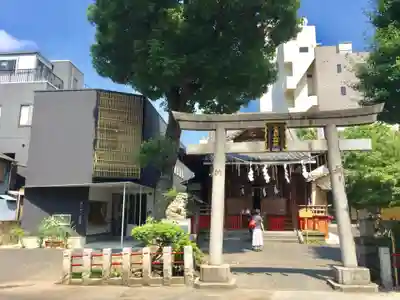 江島杉山神社の鳥居