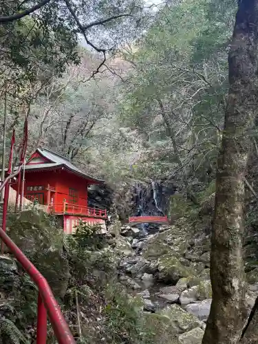 大本山七宝瀧寺の{uncategorized: "未分類", other: "その他", undefined: "問題あり", building: "その他建物", grave: "お墓", sacred_gate: "鳥居", guardian: "狛犬", statue: "像", buddha: "仏像", history: "歴史", nature: "自然", garden: "庭園", animal: "動物", pagoda: "塔", temizu: "手水舎", mountain_gate: "山門・神門", sanctuary: "本殿・本堂", subordinate: "末社・摂社", art: "芸術", scenery: "景色", jizo: "地蔵", ema: "絵馬", goshuin: "御朱印", omikuji: "おみくじ", items: "授与品その他", amulet: "お守り", goshuincho: "御朱印帳", eats: "食事", festival: "お祭り", votive_dance: "神楽", shichigosan: "七五三参", wedding: "結婚式", experience: "体験その他", initially: "初詣", around: "周辺", anti_infection: "感染症対策"}