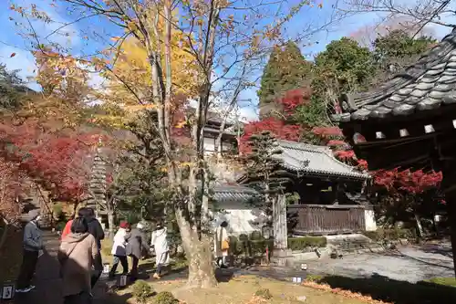 西教寺の建物その他