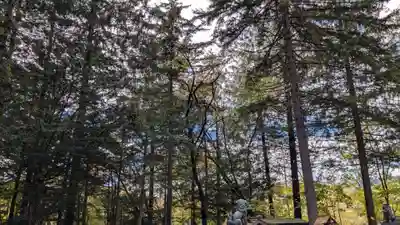 占冠神社の自然