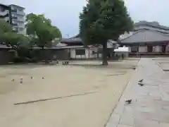 四天王寺の建物その他