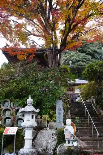 瑠璃光寺の建物その他