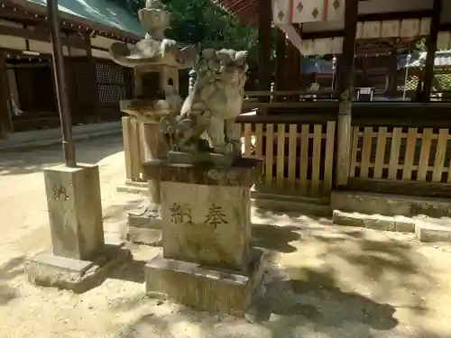 伊居太神社の狛犬