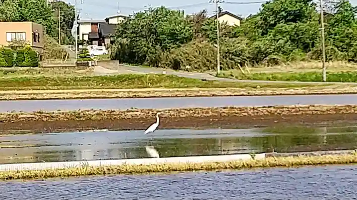 河獺弁天(史跡)(茨城県)