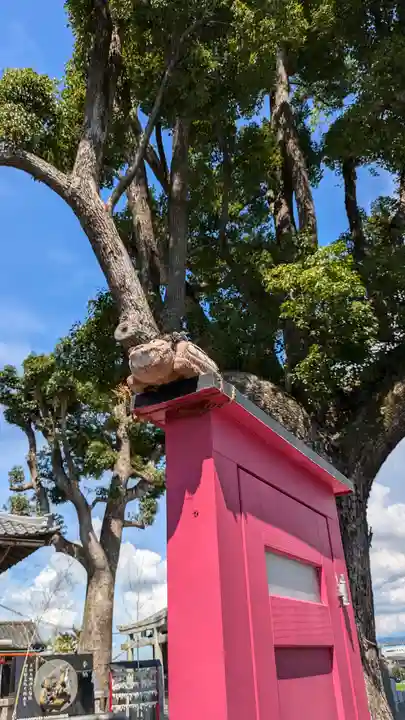 玉田神社(京都府)