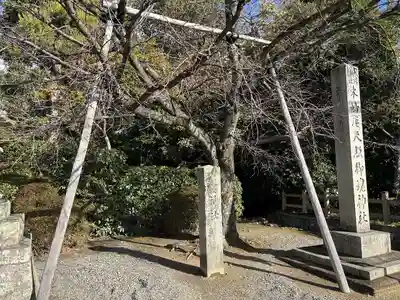 木嶋坐天照御魂神社(京都府)