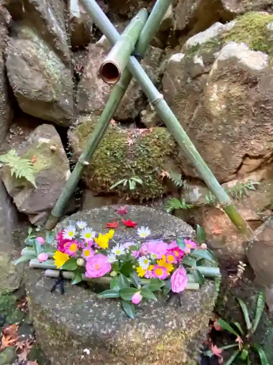 白龍神社(京都府)