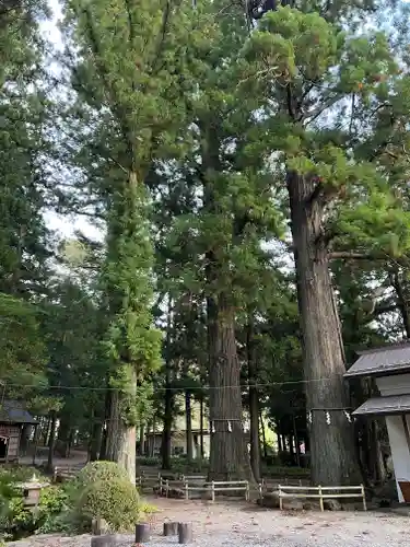 河口浅間神社の庭園