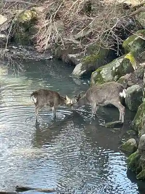 東大寺(奈良県)
