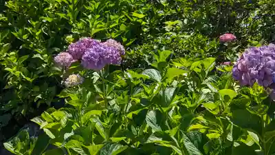 東林院(京都府)