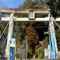熊野神社(杉田・中原)(神奈川県)