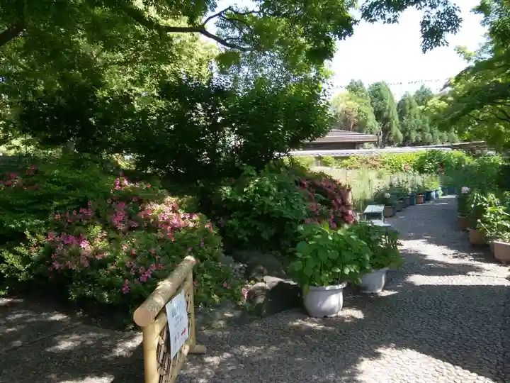 筥崎宮(福岡県)