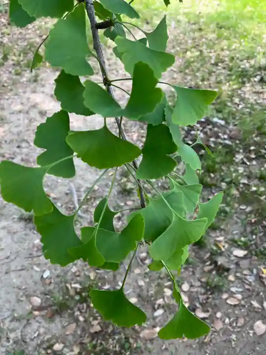 鞆江神社(明地)(愛知県)