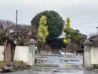 清泰寺の山門・神門