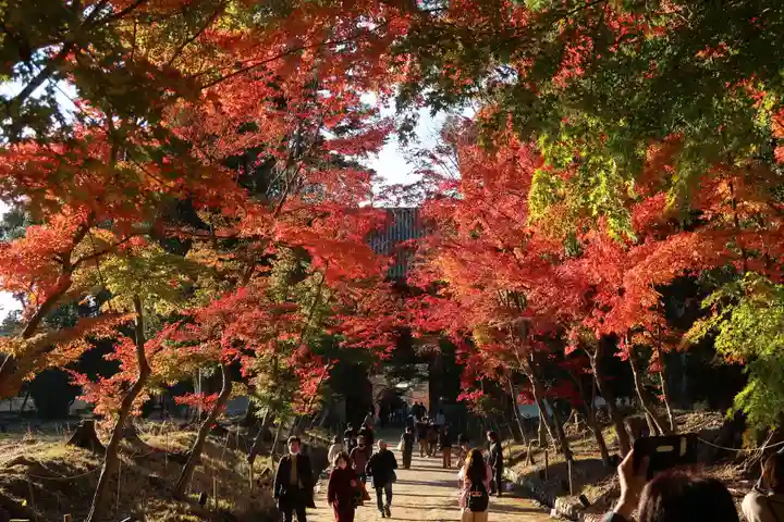 醍醐寺(京都府)