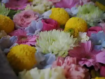 富岡八幡宮(東京都)