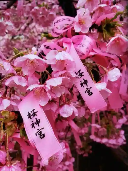 桜神宮(東京都)
