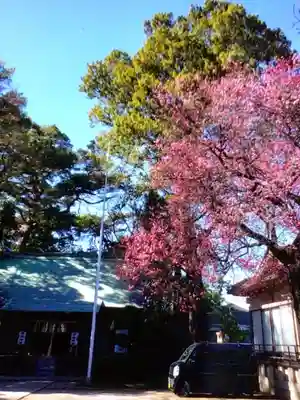 田端神社(東京都)