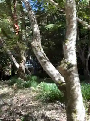 東昌寺(愛知県)