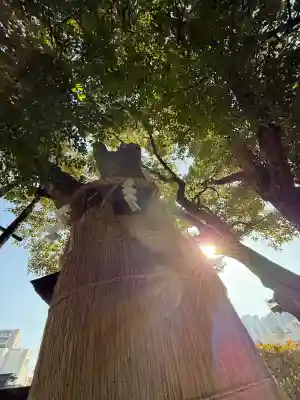 堀越神社の{uncategorized: "未分類", other: "その他", undefined: "問題あり", building: "その他建物", grave: "お墓", sacred_gate: "鳥居", guardian: "狛犬", statue: "像", buddha: "仏像", history: "歴史", nature: "自然", garden: "庭園", animal: "動物", pagoda: "塔", temizu: "手水舎", mountain_gate: "山門・神門", sanctuary: "本殿・本堂", subordinate: "末社・摂社", art: "芸術", scenery: "景色", jizo: "地蔵", ema: "絵馬", goshuin: "御朱印", omikuji: "おみくじ", items: "授与品その他", amulet: "お守り", goshuincho: "御朱印帳", eats: "食事", festival: "お祭り", votive_dance: "神楽", shichigosan: "七五三参", wedding: "結婚式", experience: "体験その他", initially: "初詣", around: "周辺", anti_infection: "感染症対策"}