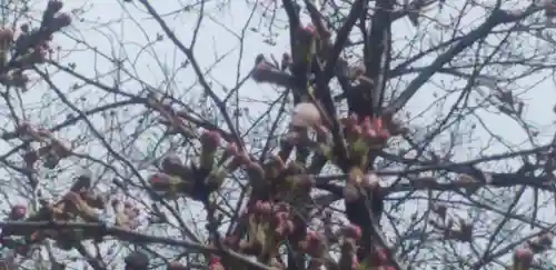 冠稲荷神社(群馬県)