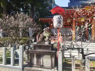 長岡天満宮の狛犬