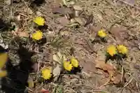 三春大神宮の庭園