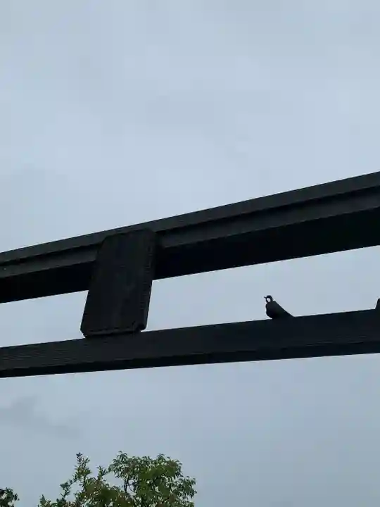 鉄道神社の鳥居