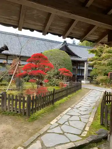 室生寺の庭園