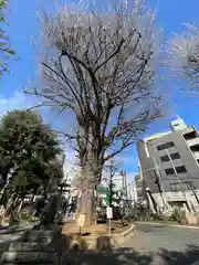 鳩森八幡神社(東京都)