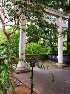熊野神社(東京都)