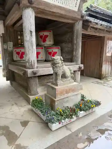 櫻井神社の{uncategorized: "未分類", other: "その他", undefined: "問題あり", building: "その他建物", grave: "お墓", sacred_gate: "鳥居", guardian: "狛犬", statue: "像", buddha: "仏像", history: "歴史", nature: "自然", garden: "庭園", animal: "動物", pagoda: "塔", temizu: "手水舎", mountain_gate: "山門・神門", sanctuary: "本殿・本堂", subordinate: "末社・摂社", art: "芸術", scenery: "景色", jizo: "地蔵", ema: "絵馬", goshuin: "御朱印", omikuji: "おみくじ", items: "授与品その他", amulet: "お守り", goshuincho: "御朱印帳", eats: "食事", festival: "お祭り", votive_dance: "神楽", shichigosan: "七五三参", wedding: "結婚式", experience: "体験その他", initially: "初詣", around: "周辺", anti_infection: "感染症対策"}