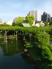 亀戸天神社の庭園