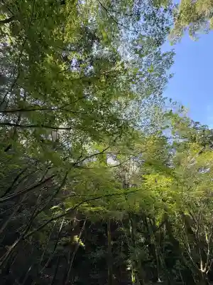 大山祇神社(伊勢神宮内宮)の{uncategorized: "未分類", other: "その他", undefined: "問題あり", building: "その他建物", grave: "お墓", sacred_gate: "鳥居", guardian: "狛犬", statue: "像", buddha: "仏像", history: "歴史", nature: "自然", garden: "庭園", animal: "動物", pagoda: "塔", temizu: "手水舎", mountain_gate: "山門・神門", sanctuary: "本殿・本堂", subordinate: "末社・摂社", art: "芸術", scenery: "景色", jizo: "地蔵", ema: "絵馬", goshuin: "御朱印", omikuji: "おみくじ", items: "授与品その他", amulet: "お守り", goshuincho: "御朱印帳", eats: "食事", festival: "お祭り", votive_dance: "神楽", shichigosan: "七五三参", wedding: "結婚式", experience: "体験その他", initially: "初詣", around: "周辺", anti_infection: "感染症対策"}