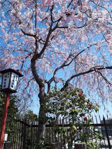 愛宕神社の自然