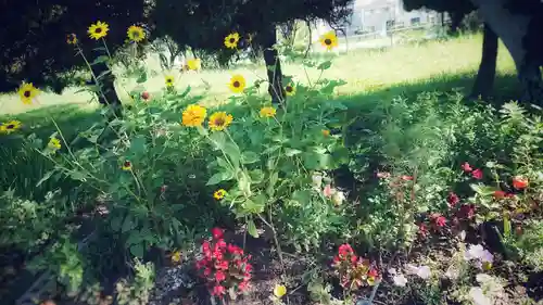 尾張大國霊神社（国府宮）の周辺