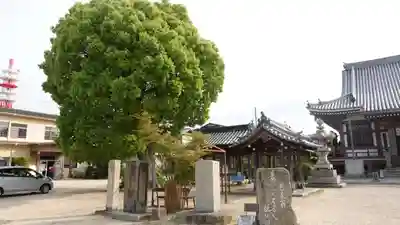 南光坊(愛媛県)