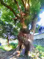 和爾良神社の自然