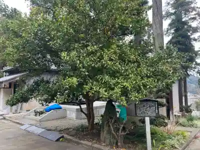 本漸寺の{uncategorized: "未分類", other: "その他", undefined: "問題あり", building: "その他建物", grave: "お墓", sacred_gate: "鳥居", guardian: "狛犬", statue: "像", buddha: "仏像", history: "歴史", nature: "自然", garden: "庭園", animal: "動物", pagoda: "塔", temizu: "手水舎", mountain_gate: "山門・神門", sanctuary: "本殿・本堂", subordinate: "末社・摂社", art: "芸術", scenery: "景色", jizo: "地蔵", ema: "絵馬", goshuin: "御朱印", omikuji: "おみくじ", items: "授与品その他", amulet: "お守り", goshuincho: "御朱印帳", eats: "食事", festival: "お祭り", votive_dance: "神楽", shichigosan: "七五三参", wedding: "結婚式", experience: "体験その他", initially: "初詣", around: "周辺", anti_infection: "感染症対策"}