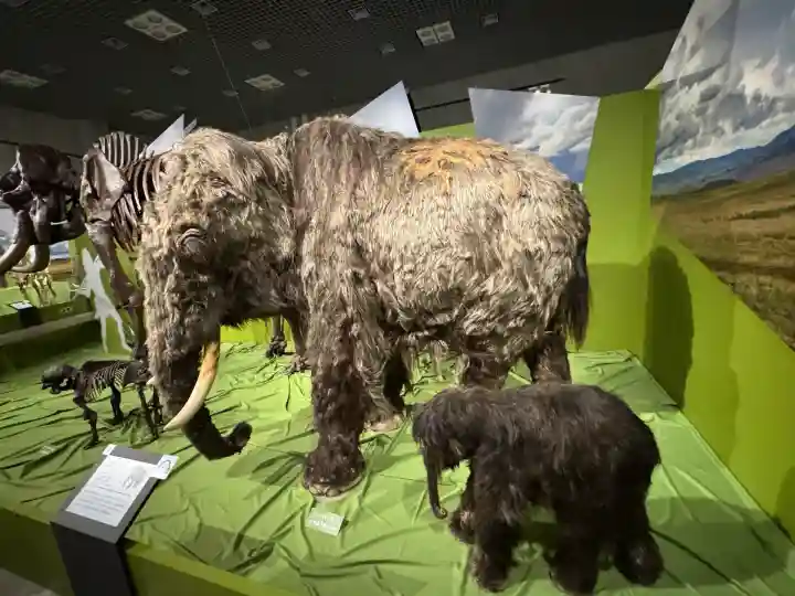 上野東照宮(東京都)