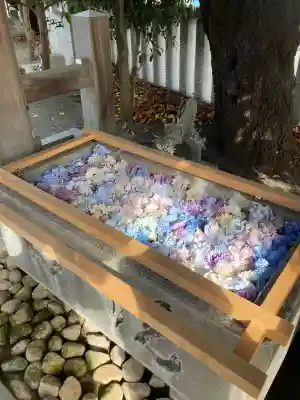 伊勢原大神宮(神奈川県)