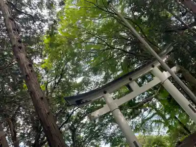 宝登山神社奥宮(埼玉県)