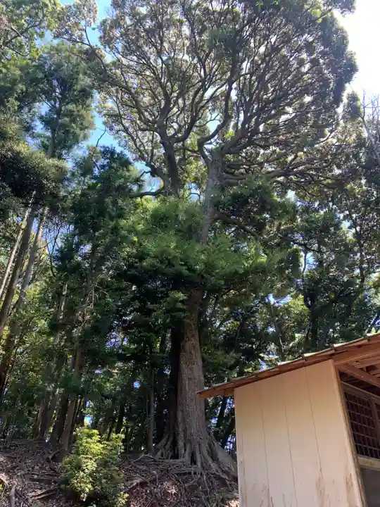 琴平神社(千葉県)